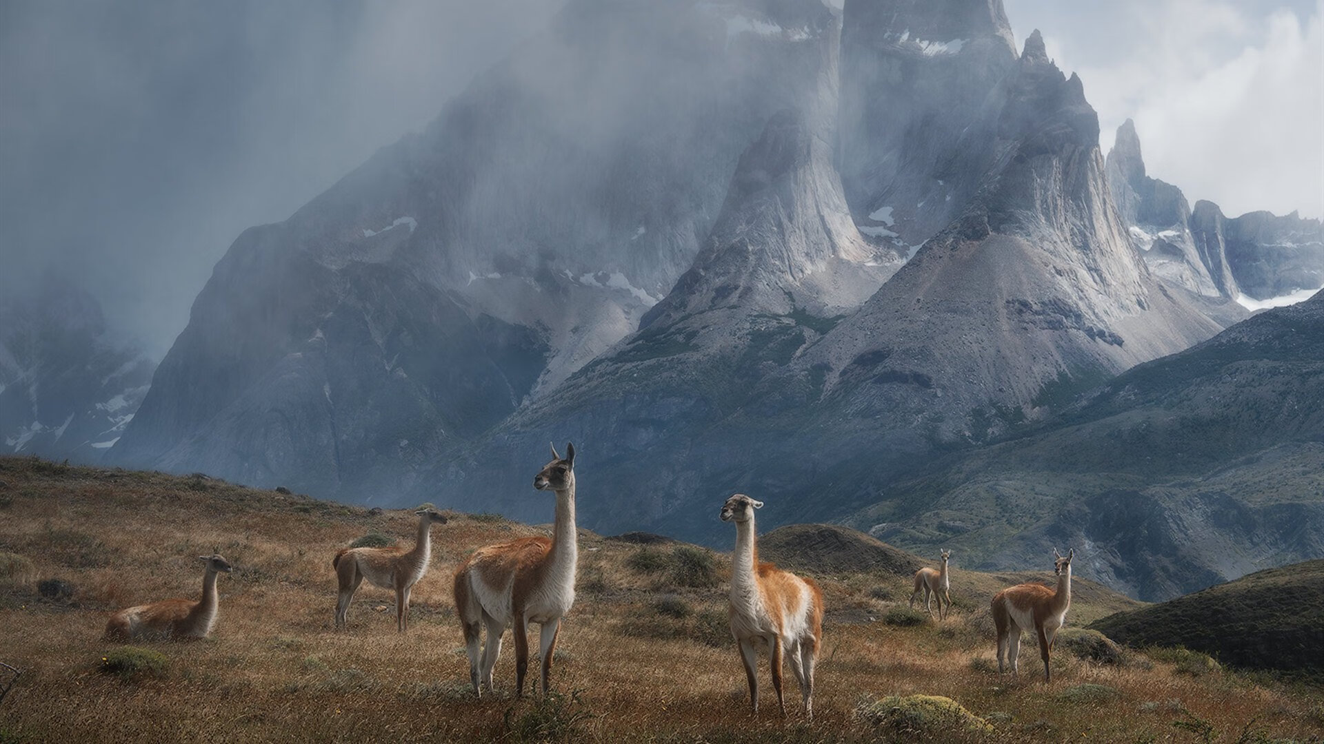 历史性法网夺冠后的传奇再续,西西帕斯总决赛上演统治级逆转,开启新时代