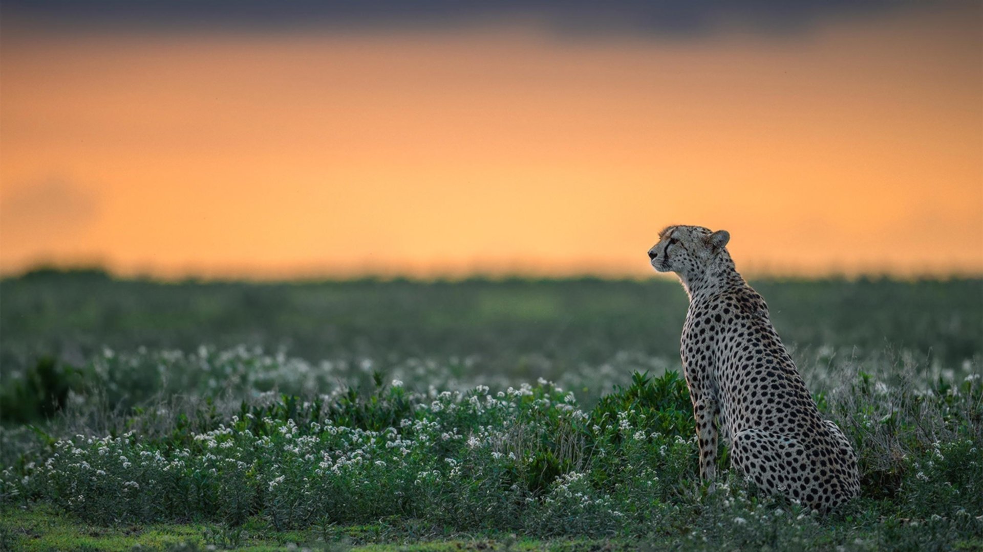 魔法的本质是控制，当保罗统治全场，魔术战术撕碎火箭方程式