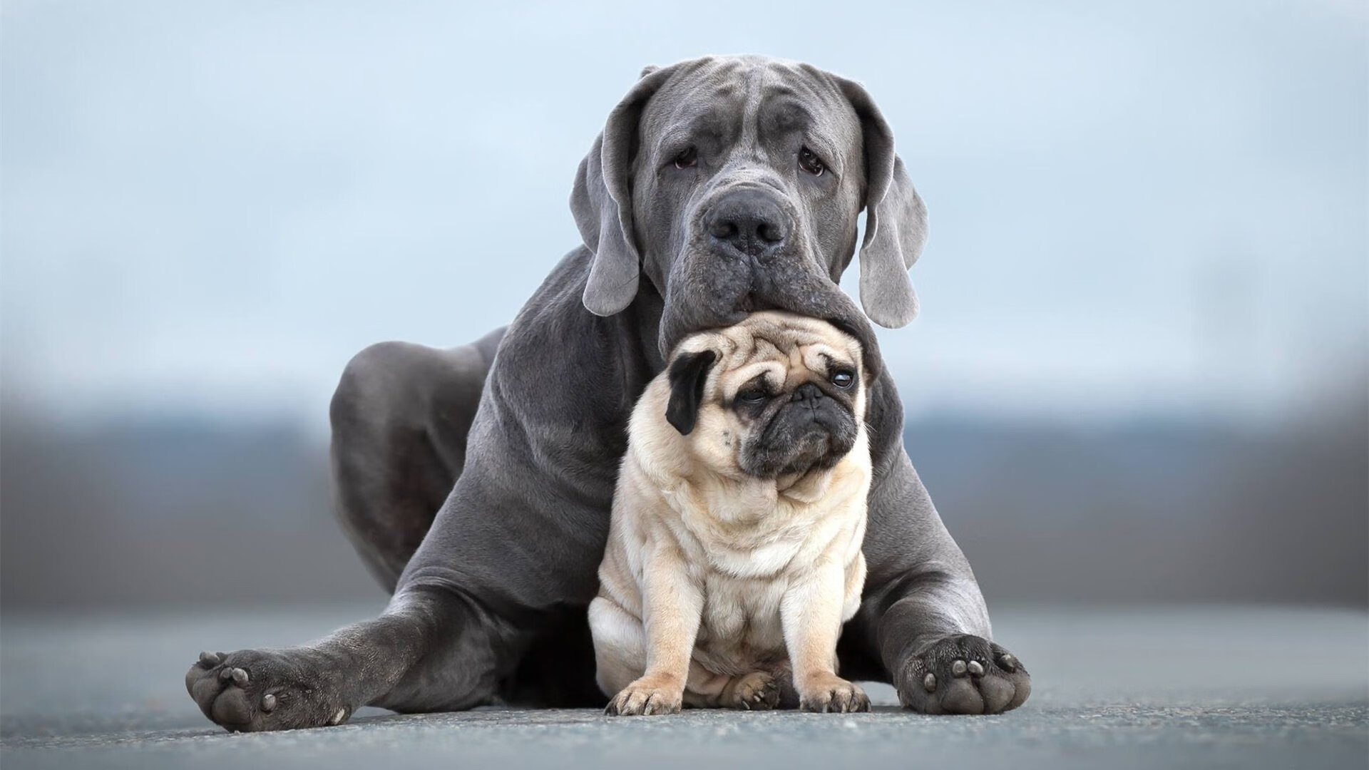 当古希腊战歌遇见北欧神话,哈兰德化身关键先生助希腊逆转突尼斯