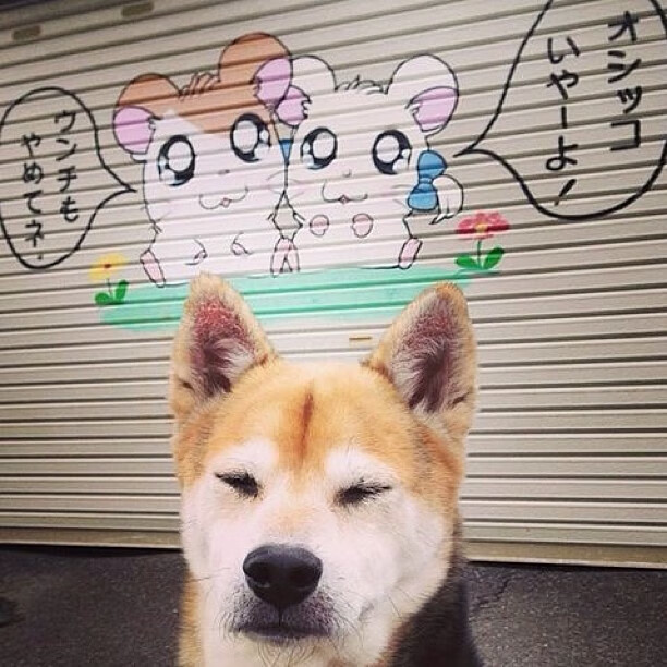 今夜多哈,他只身筑起叹息之墙,凯塞多如何让中国队的箭头在90分钟内沉默