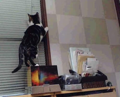 个体闪耀与体系革命，足球世界永远的双重奏