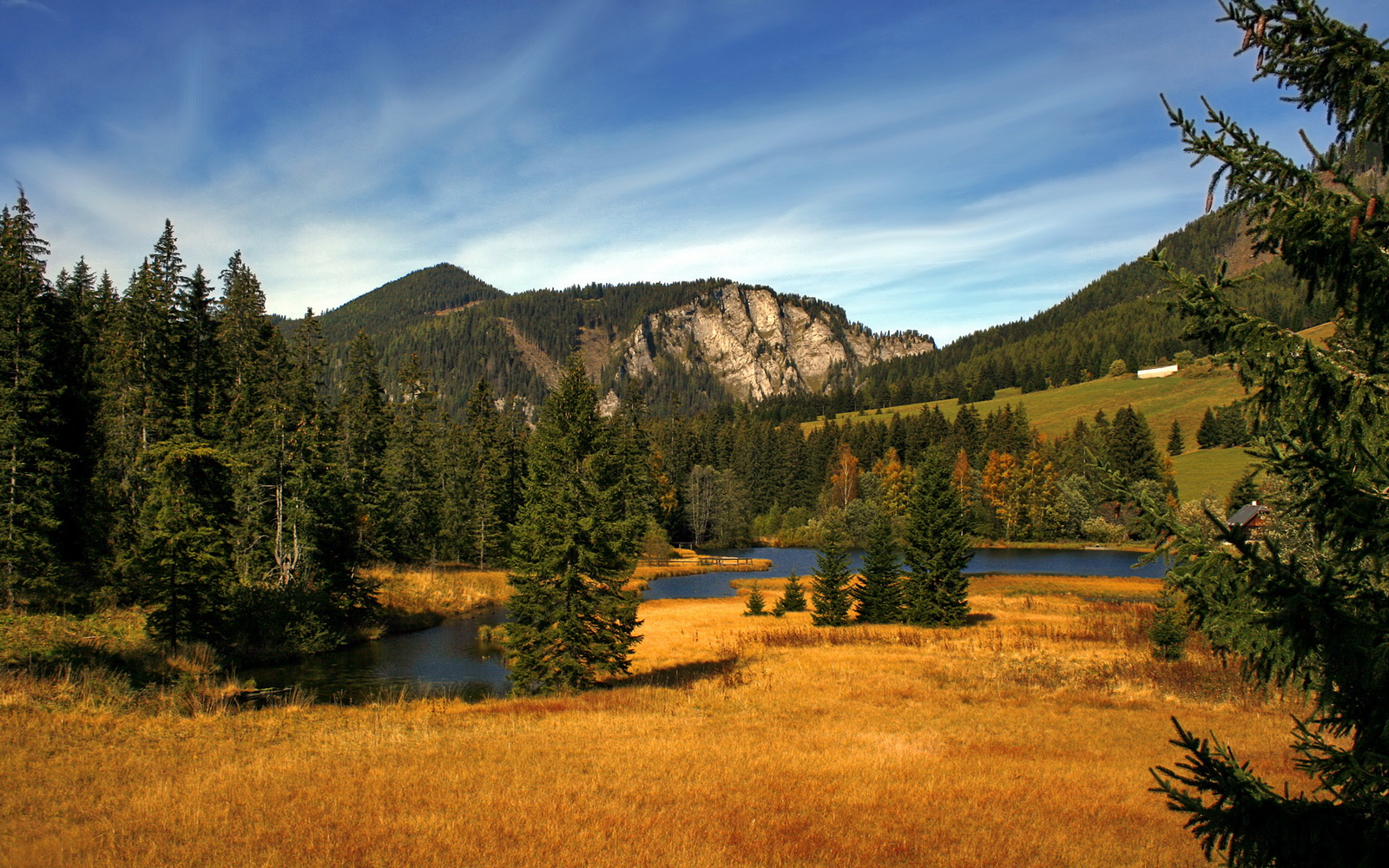 谁说他是三当家?马克西独挑大梁,独行侠的胜利被他刻上马氏烙印