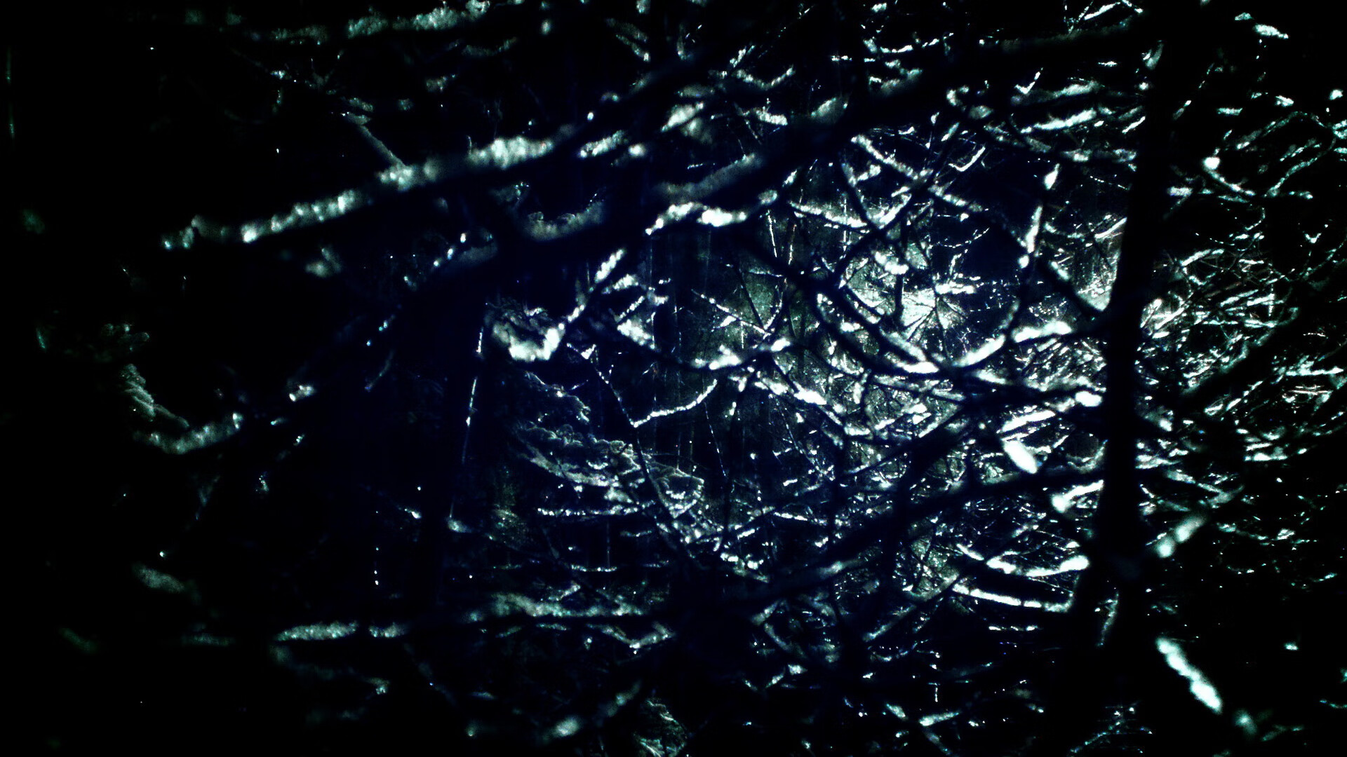 幽灵射手，当范弗利特不在场时，如何用记忆统治凯尔特人与奇才之战