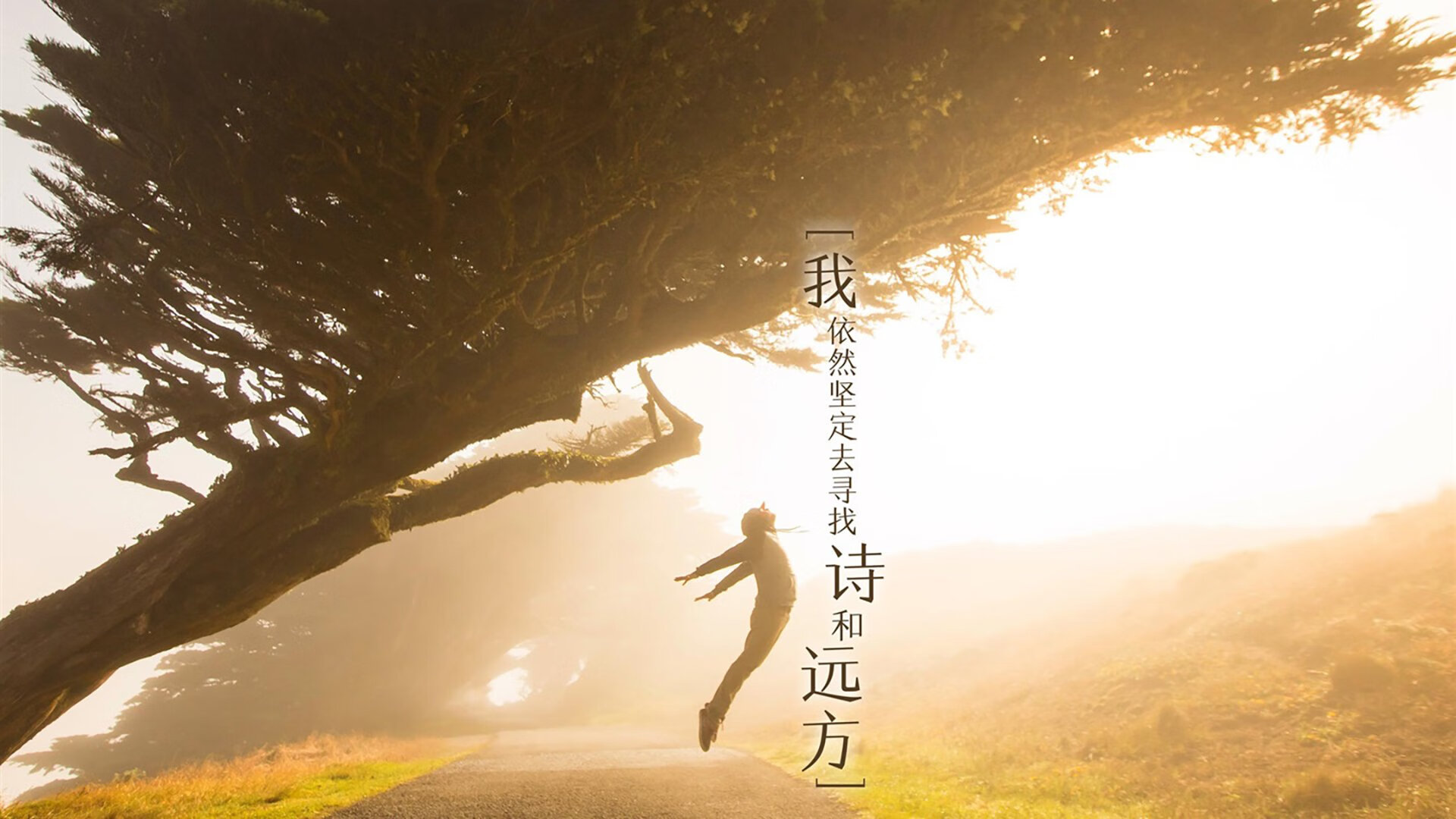 关键时刻的幽灵舞者，奥利维耶与西班牙的冠军之路