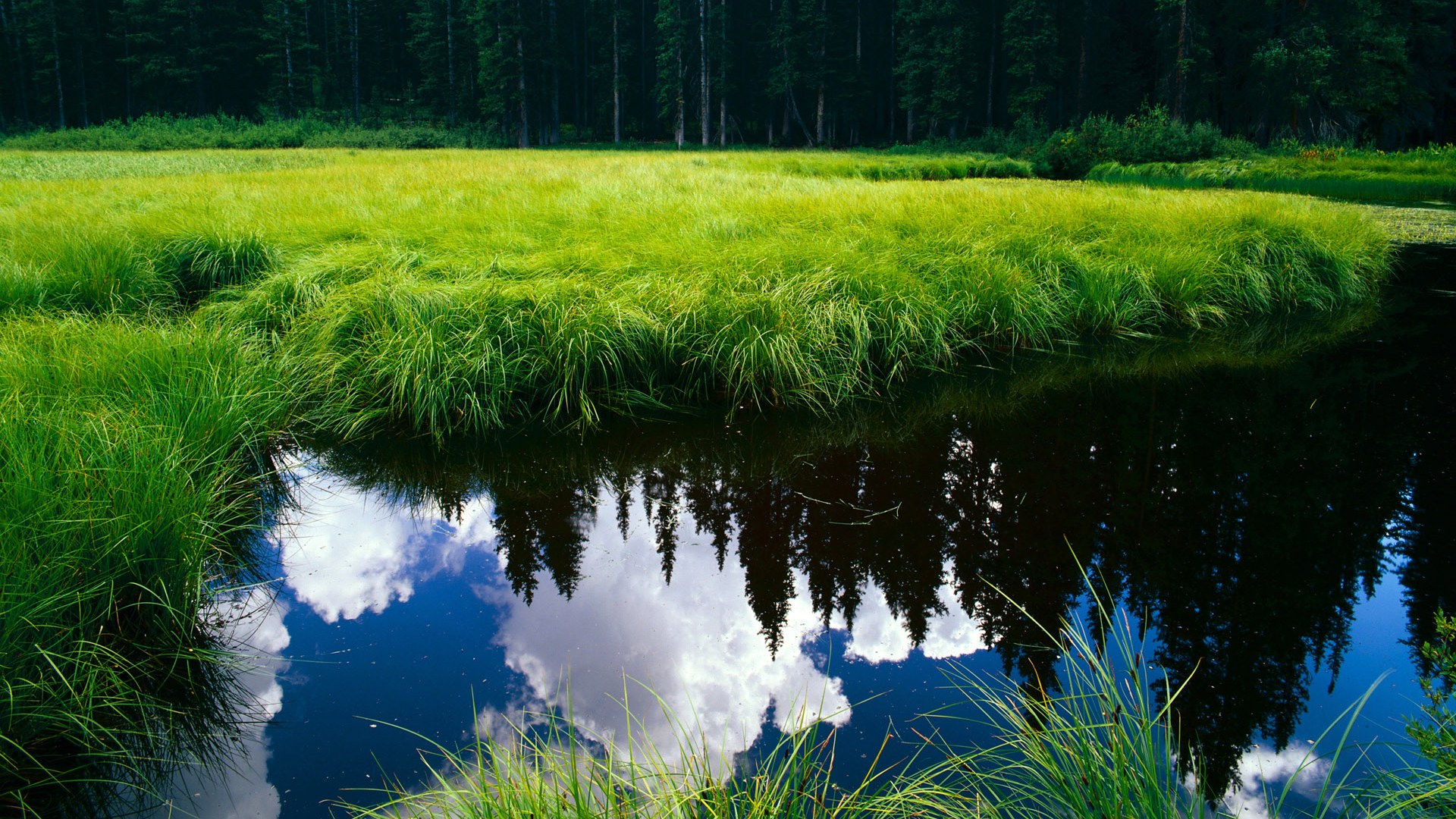 新大陆的巨浪，贝恩史诗绝杀点燃美加墨世界杯之夜