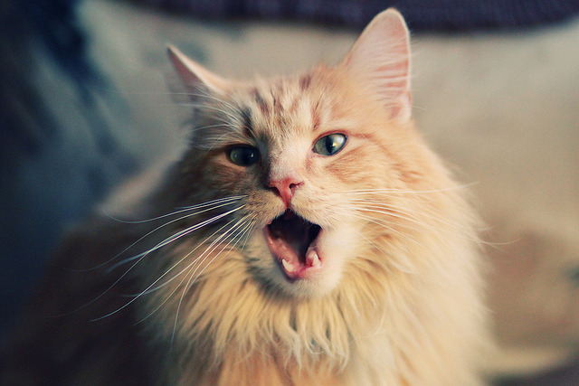 亚洲新王，孙兴慜的右脚，为何成为皇马逆转日本的唯一密码？