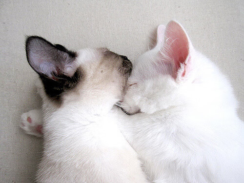 爱游戏入口-十字路口的金色太阳，当基米希在皇家社会的雨夜中裁决了曼联