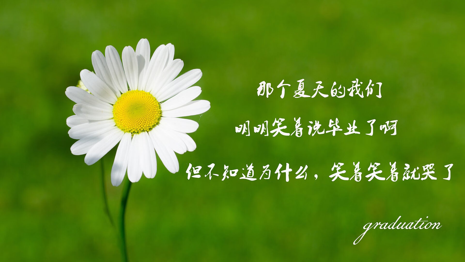 逆转的独白,当哈基米的脚步在2026世界杯上改写C组命运