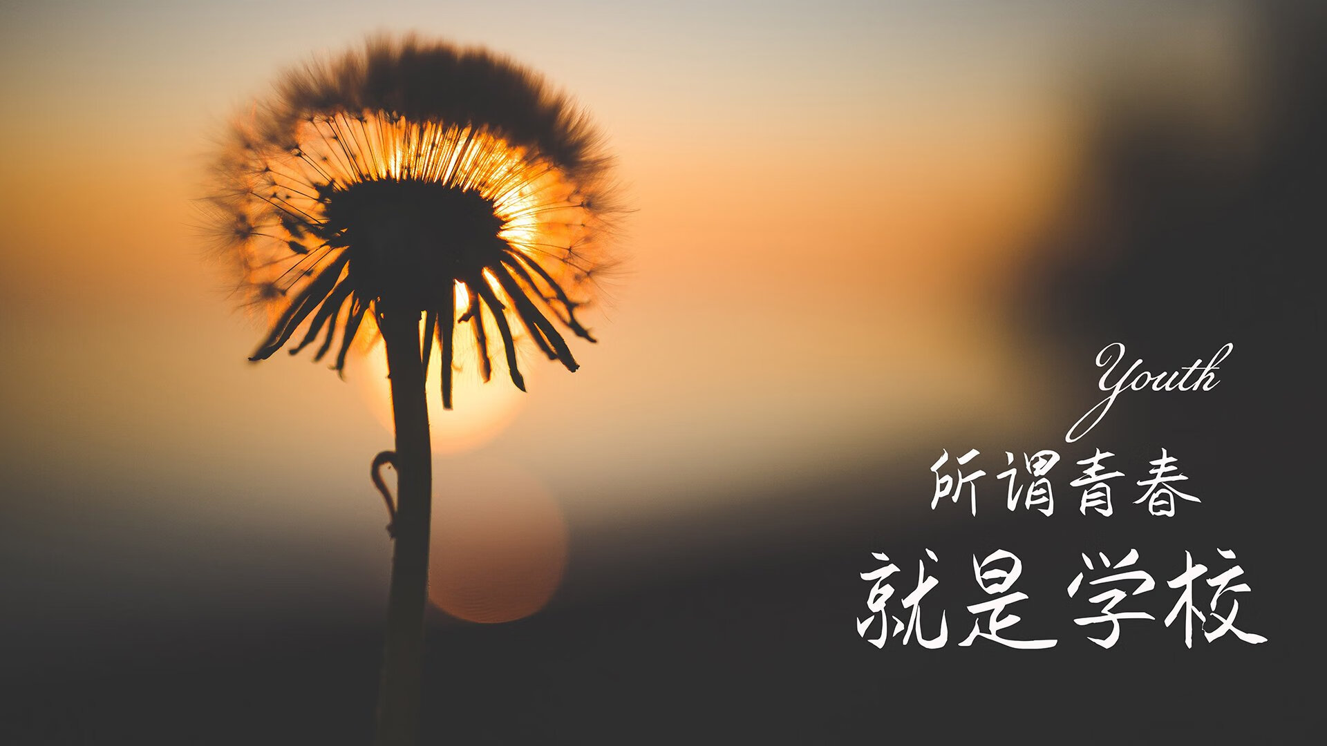 铁幕下的闪电,比利时唯一的不完美答案,卢卡库与防守反击在2026世界杯F组撕裂泰国