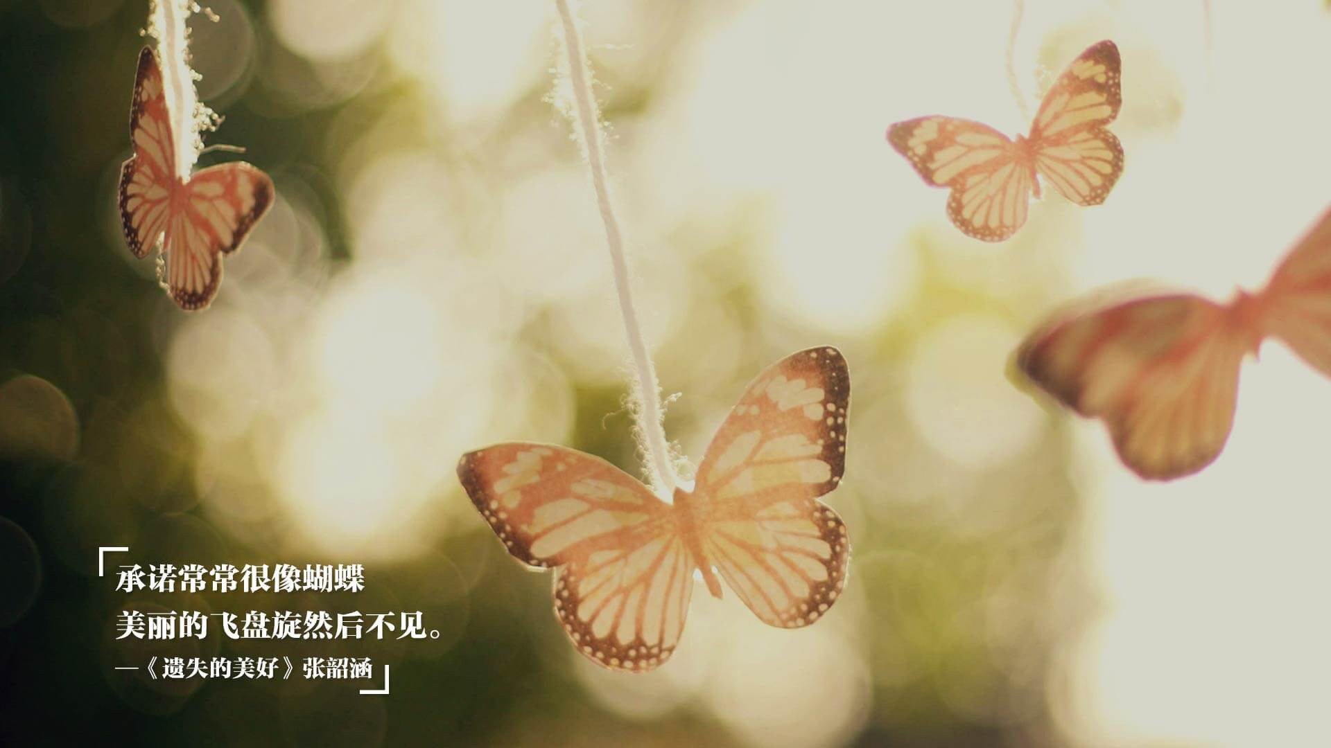 沙漠风暴席卷北美劲旅，莱万王者归来，突尼斯碎墨西哥世界杯梦