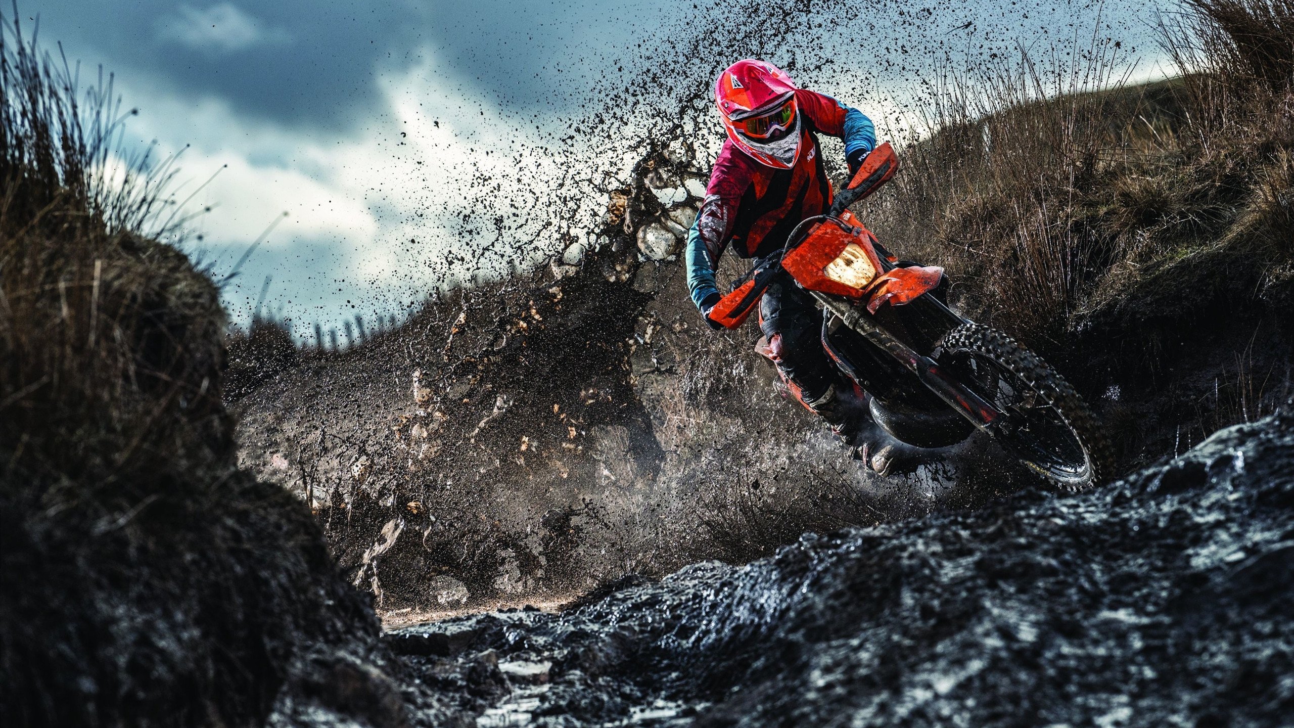 破晓之战,2026世界杯F组,德国战车碾压泰国,佩德里引领进攻狂潮